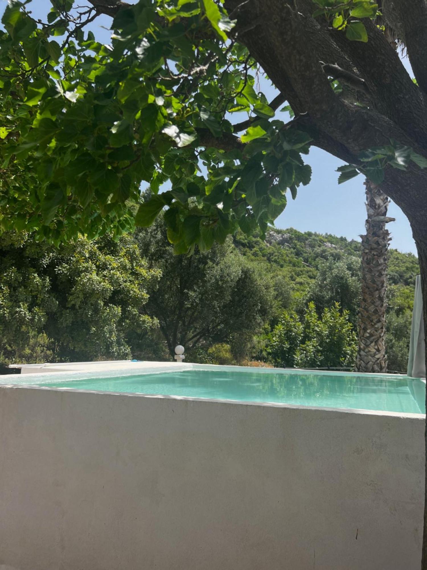 Rustic Hill Private Pool Suites Kalamata Extérieur photo